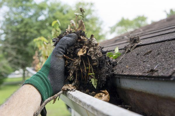 Gutter Cleaning Service Suffolk County NY 2